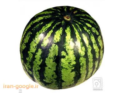 فروش هندوانه